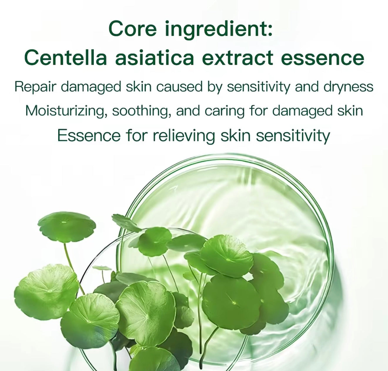 VENROCK Centella Asiatica Bubble Facial Mask | Deep Clean & Glow